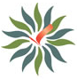 Arunachal University of Studies - AUS Logo - JPG, PNG, GIF, JPEG