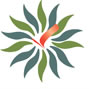 Arunachal University of Studies-AUS Logo - JPG, PNG, GIF, JPEG